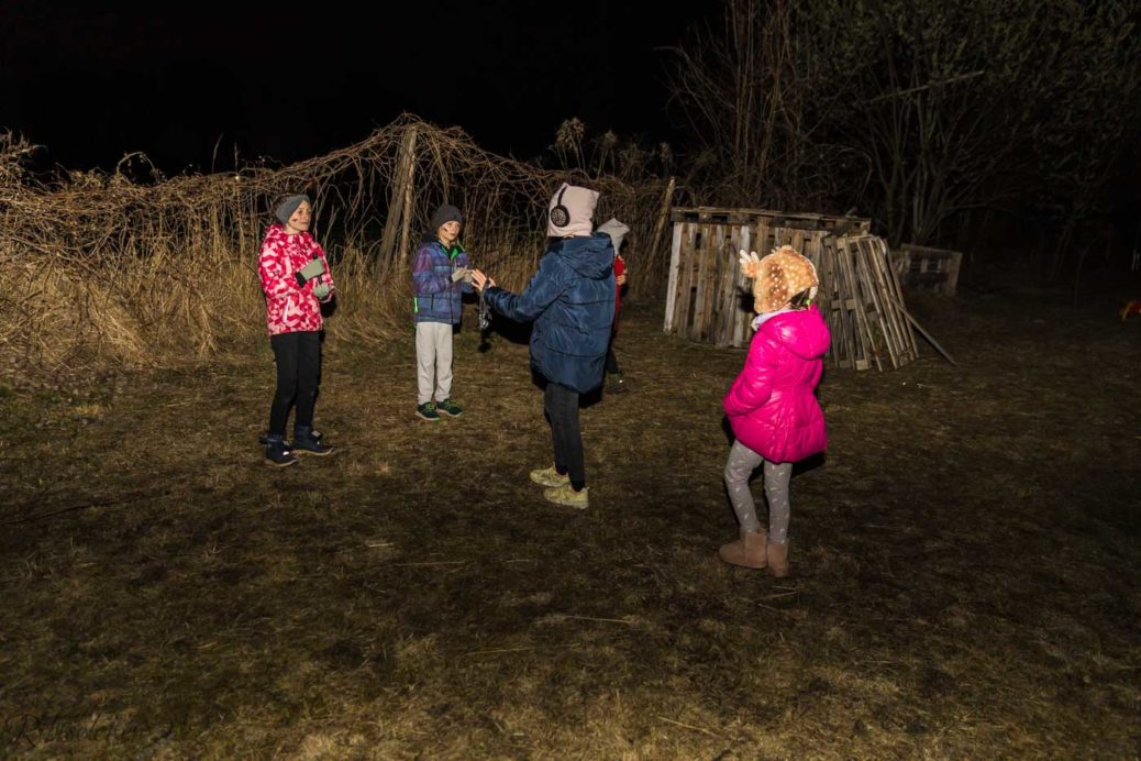 Kinder gehen im Dunkeln auf der Wiese